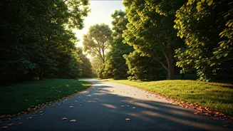 Short Walks Become Wellness Trend