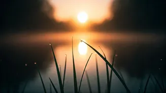 5 AM Affirmations: How Your First Words Can Script a Better Day