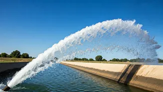 Record Water Draw: Andhra Pradesh's Irrigation Milestone