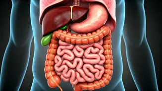The Body's Response to Removing Ghee and Oil