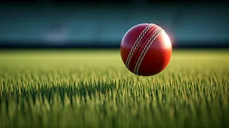 Daily Zodiac Forecast: November 13th, 2024