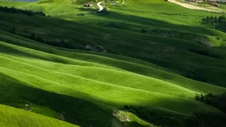 Tuscany Road Trip: Lets Travellers Explore Beyond A Single Tuscan City While Links Florence, Siena And Scenic Countryside Stops