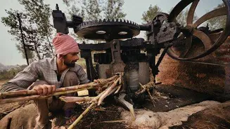 India's jaggery rises 10% to ₹67 as sugar rises 15%