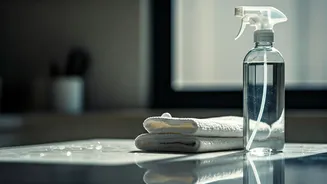 Related Stories banner