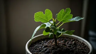 Related Stories banner