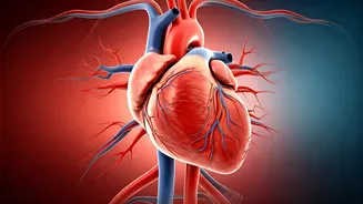 Eat These 5 Foods For A Healthier Heart