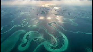 How NASA satellite images track phytoplankton expansion across changing Black Sea zones