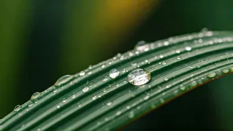 Sweat And Sunscreen Need Better Monsoon Balance
