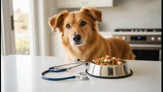 How urban pet parents ensure canine longevity via vet-approved fresh meal plans