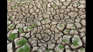 El Niño Amplifies Hot and Dry Weather in India and Asia