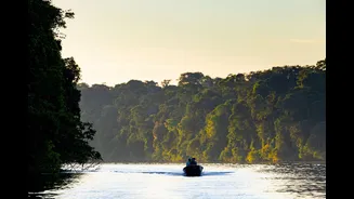 Os melhores lodges da Amazônia, segundo cinegrafista vencedor do Emmy