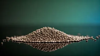 Chia Seeds: Why Some Should Avoid Them