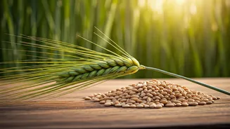 Climate-Friendly Grains Are Winning Food Conversations Again