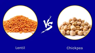 Lentils v/s chickpeas: Which is more nutritious?