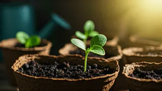 Beginner Gardening Hacks That Actually Work