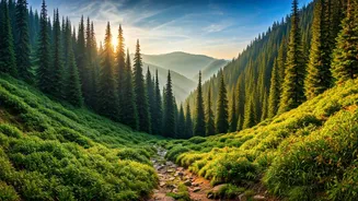 Northeast India Becomes A Must-Visit