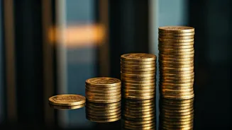 Excelsoft IPO: A Deep Dive into the SaaS Company's Launch