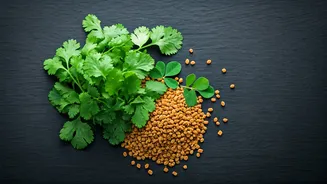 The Dynamic Duo: Unlocking Flavor and Health with Fenugreek & Coriander in Indian Cuisine
