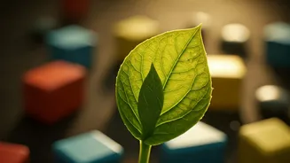 Unlocking Smarter, Happier Kids: The Power of Simple Childhood Habits