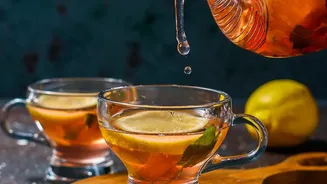 Why Hyderabad's Rainy-Season Tea Experiences Are Worth Exploring