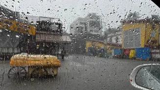 Tamil Nadu weather: Heavy rain likely in 2 districts today, IMD issues forecast
