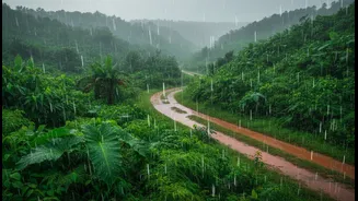 Monsoon Holidays Are Becoming A Popular Choice For Young Indian Travellers
