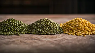 Chef Sanjeev Kapoor's Moong Dal Mastery: Unlock Maximum Nutritional Benefits