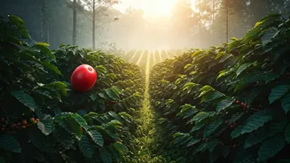 Coffee Estate Escapes Are Trending Again
