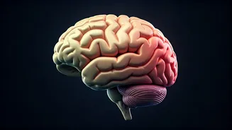 Unlocking Your Sleep Profile: A Guide to Better Rest