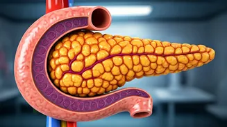 Texas Doctor's 7-Step Plan for Insulin Resistance