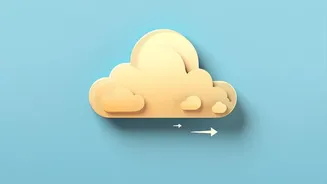 A New Warm-Cloud Rain Study Reveals More About Warm-Cloud Physics