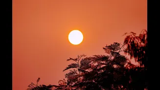 Severe heatwave grips Madhya Pradesh; temperatures soar to 45.8°C