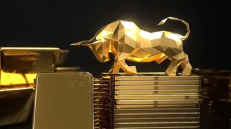 How Young Investors Can Research Startup IPOs Without Following Market Hype