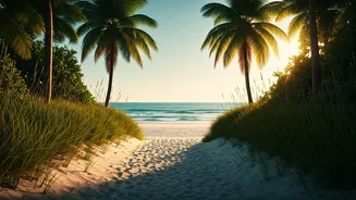 India's Serene Coastal Havens: Unwind and Escape the May Heat