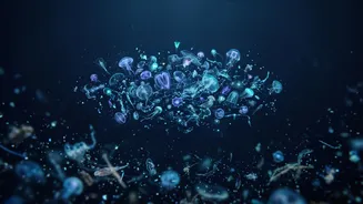 Why The Ocean Twilight Zone Harbors Massive Uncounted Marine Biomass Species Balances