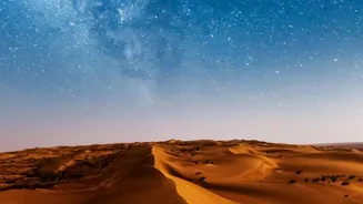 Gujarat’s New Night Safari Will Recreate A Natural Desert Wildlife Habitat