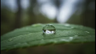 Cloudy-Day Sunscreen During the Monsoon: The Case for More Attention to UV Exposure