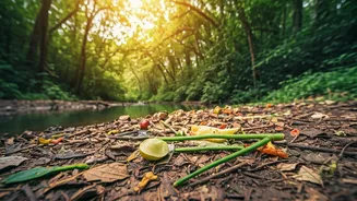 9 Simple Steps for Sustainable Living in India