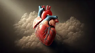 Air Pollution & Heart: A Diwali Health Alert