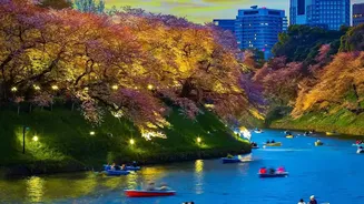 Explore Japan Iconic City Parks Known For Breathtaking Cherry Blossoms And Autumn Foliage