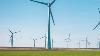 Sovereign Green Bonds Explained: How Eco-Conscious Investors Gain Fixed Returns From Renewables