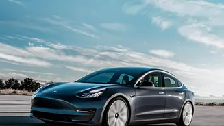 Tesla's Screen Captures the Unpredictability of Mixed Road Movement