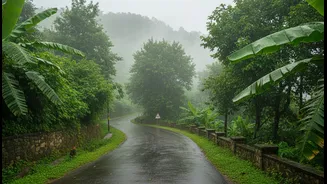 India's Scenic Hills Offer The Perfect Setting For Slow Monsoon Holidays