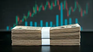 Navigating the Indian Market: Funds & Investment Insights