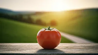 Food, Travel And Climate Are Finally Connecting