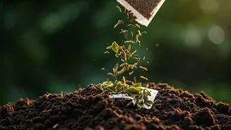 Tea Leaves Are Secret Compost Heroes At Home