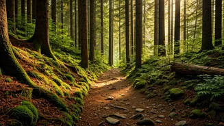 Trail Safety: Navigating Wilderness Risks and Staying Secure Outdoors