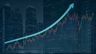 Navigating India's Market: Risk & Reward in Large Caps