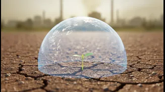 Young Indian Readers, Students and Local Climate Storytellers Can Plan Better around Air