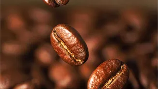 Benefits of robusta coffee beans you probably didn't know